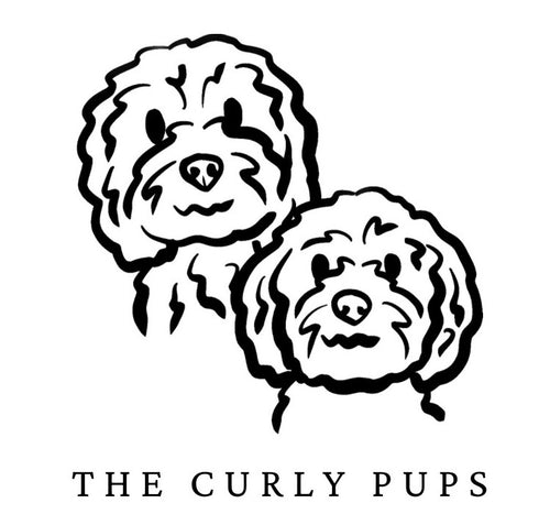 The curly pups 